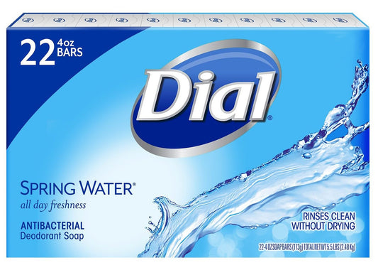 Dial All Day Freshness Spring Water Bar Soap, 4 ounce, 22 Count