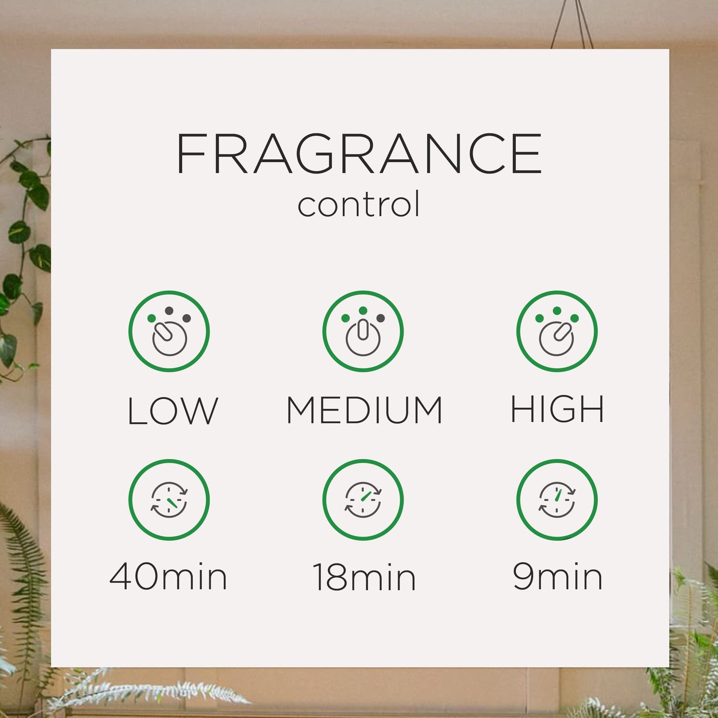Air Wick Automatic Air Freshener Spray Refill, 1ct, Lavender & Chamomile, Odor Neutralization, Essential Oils
