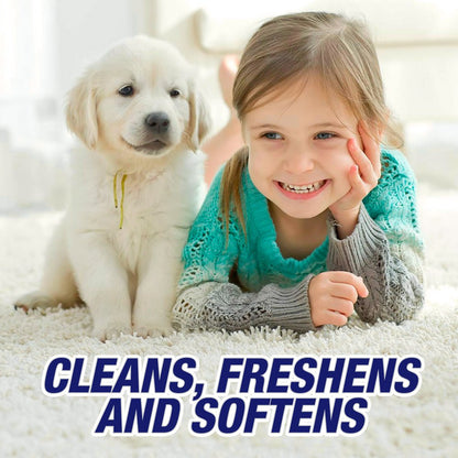 Resolve - 0-19200-00619-4 0-1920088365 High Traffic Carpet Foam Used to Clean, Freshens, Softens and Removes Stains, 132 oz, 1.38 lb. (Pack of 6)