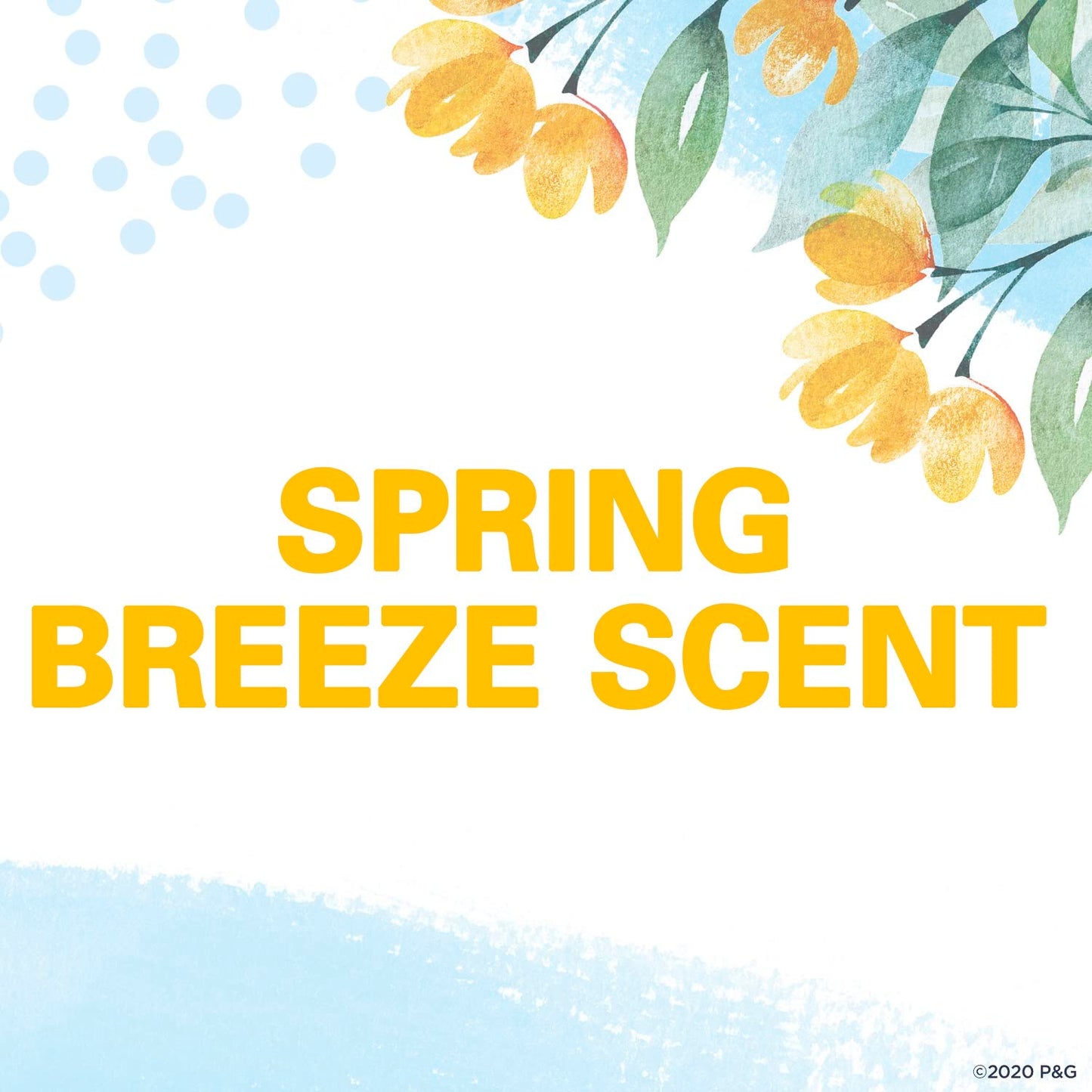 Secret Sld Inv Sprngbrz Size 2.6z Secret Solid Invisible Spring Breeze 2.6z Ea