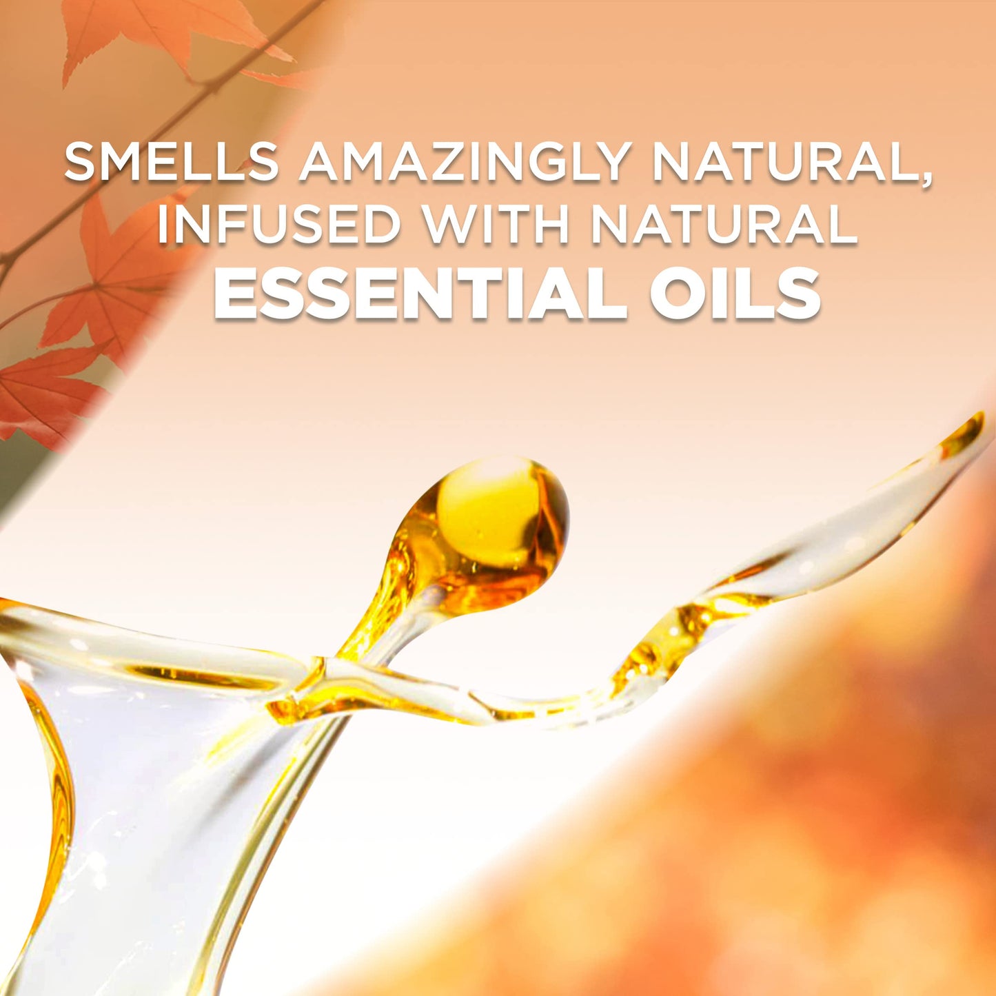 Air Wick Plug in Scented Oil Refill, 5 ct, Fresh Pine and Juniper, Air Freshener, Essential Oils, Fall Scent, Fall decor