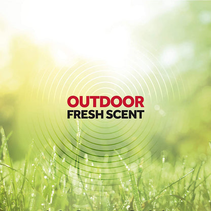Raid Ant & Roach Killer Insecticide Spray-Outdoor Fresh - 17.5 oz, Clear