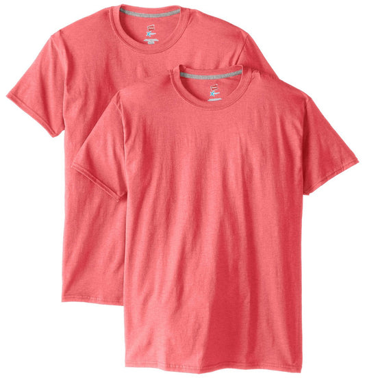 Hanes Men's 2 Pack X-Temp Performance T-Shirt (X-Large, Sky Blue)