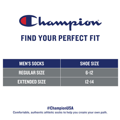 Champion Men's 2-Pack No Show Stripe Socks, White/Black, Sock Size: 10-13/Shoe Size:9-11 (Shoe Size Sock Size: 10-13/Shoe Size:9-11)