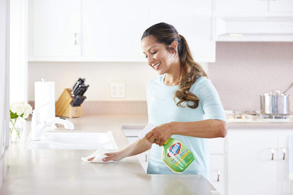 Clorox Company Clorox Clean-Up All Purpose Cleaner Spray Bottle With Bleach Original, 24 Fl Oz