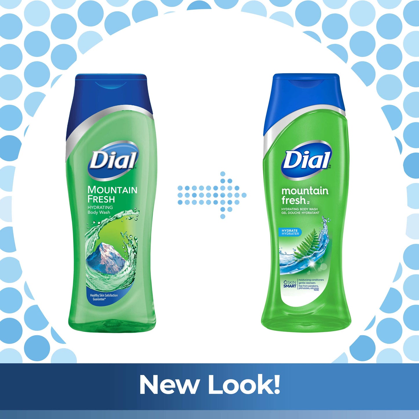 Dial Body Wash, Mountain Fresh, 16 Fl Oz (Pack of 6)