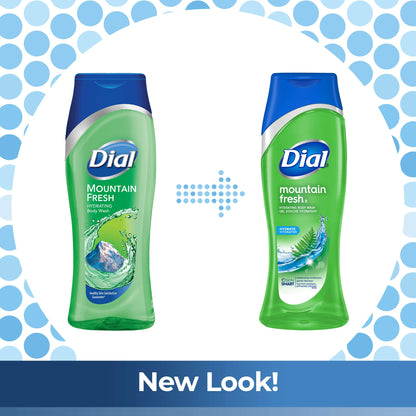 Dial Body Wash, Mountain Fresh, 16 Fl Oz (Pack of 6)