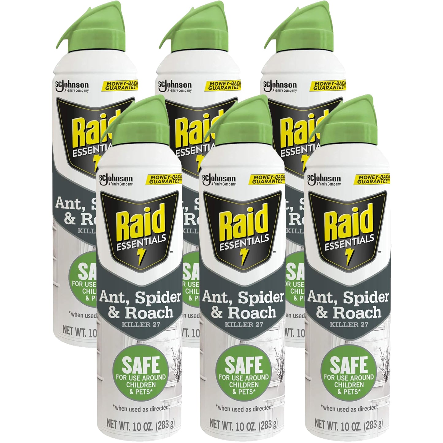 Raid Essentials Ant Spider, and Roach Killer Aerosol Spray, Child & Pet Safe, Kills Insects Quickly, 10 Ounce, 6 Pack (6), 331877
