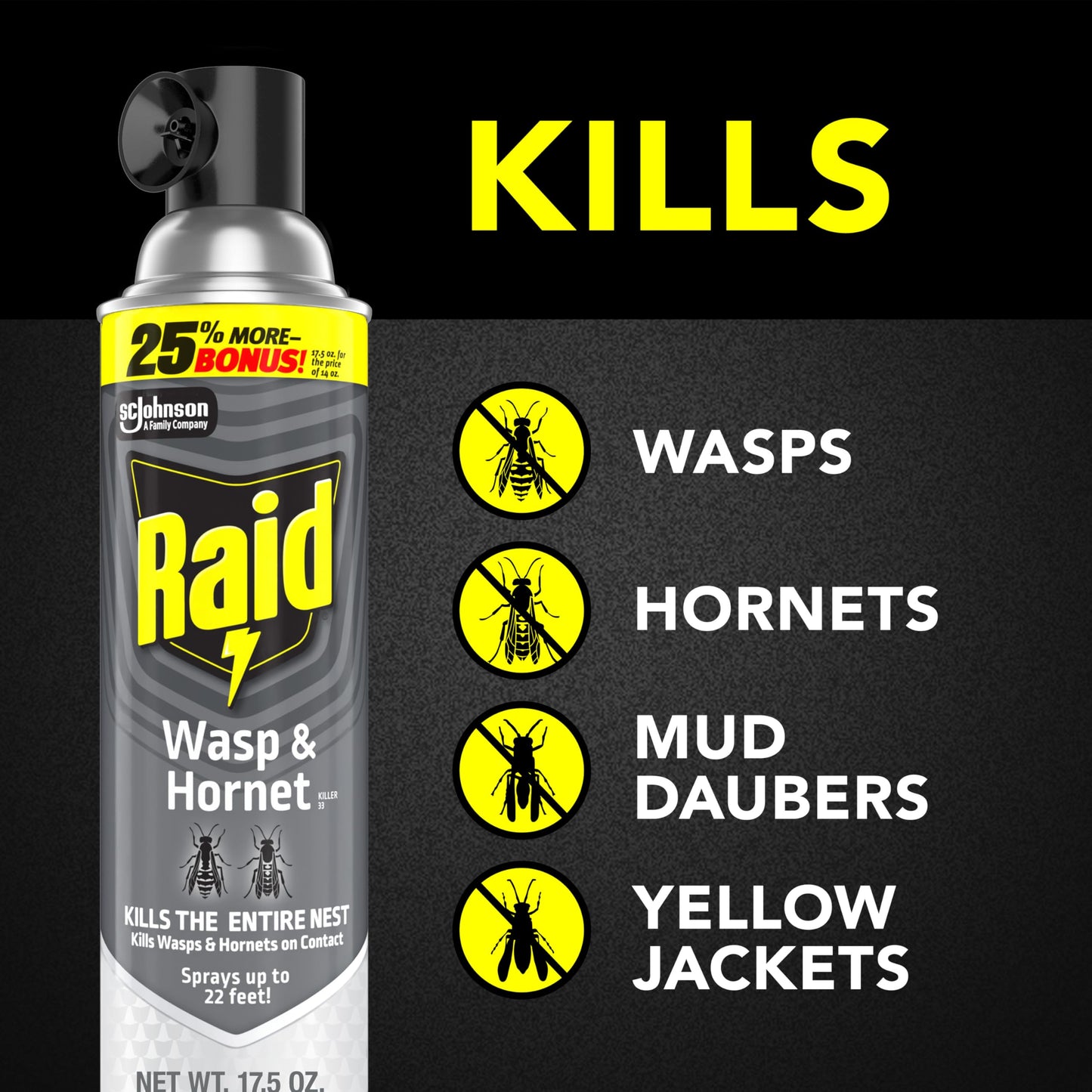 Raid Wasp and Hornet Killer (17.5 Ounce (Pack of 1))