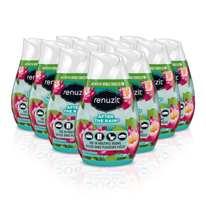 Renuzit Adjustables Air Freshener, After The Rain, 3 Count
