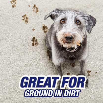 Resolve Pet High Traffic Carpet Foam, Cleans Freshens Softens & Removes Stains, 22 Fl Oz (Pack of 4)