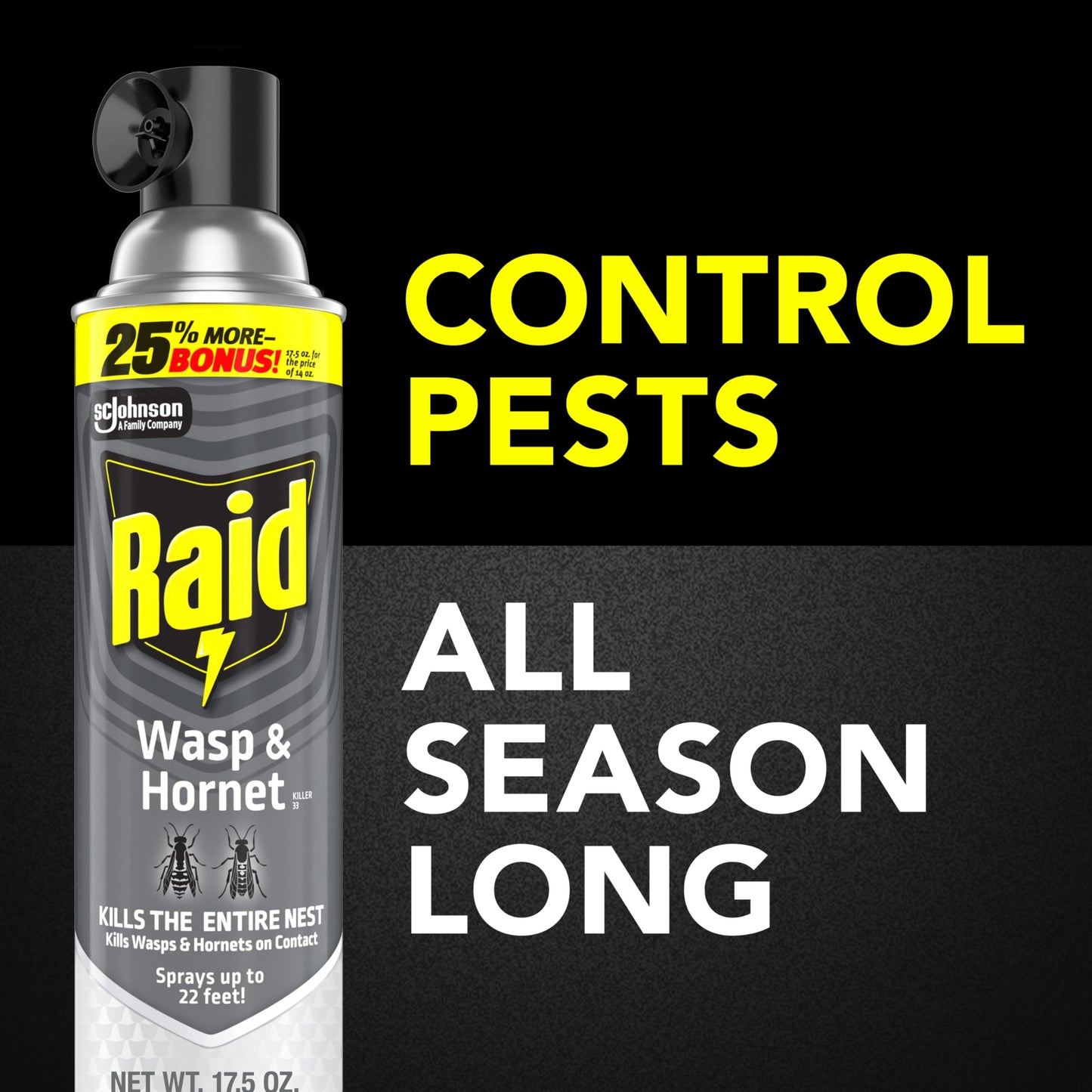 Raid Wasp and Hornet Killer (17.5 Ounce (Pack of 1))