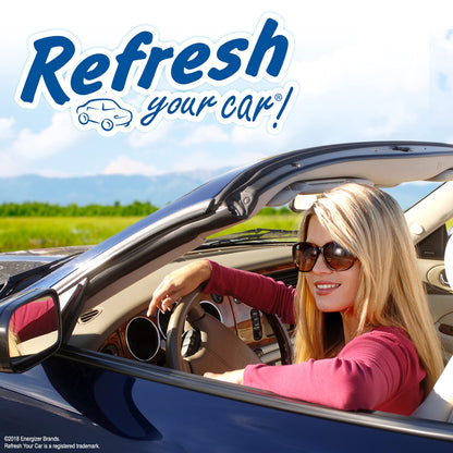 Car Air Freshener, Odor Eliminator, Set of 4 Auto Vent Sticks, Mixed Berries Scent, Refresh Your Car