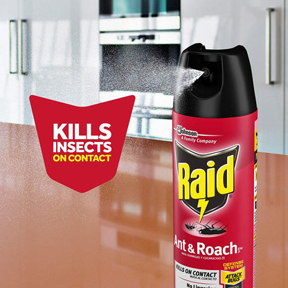 Raid Ant & Roach Killer Insecticide Spray-Outdoor Fresh - 17.5 oz, Clear