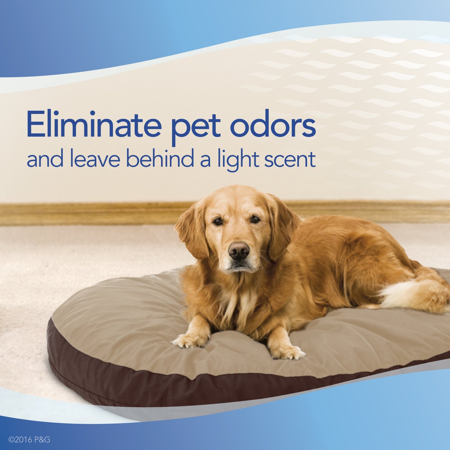 Febreze Fabric Refresher - Pet Odor Eliminator 16.9 Ounce Pack of 3