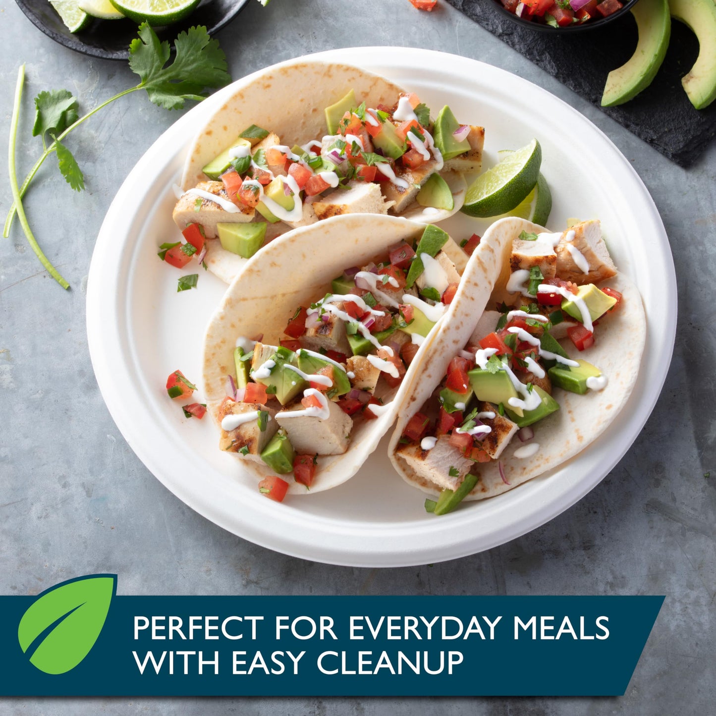 Hefty ECOSAVE Compostable Paper Plates, 10-1/8 Inch, 16 Count