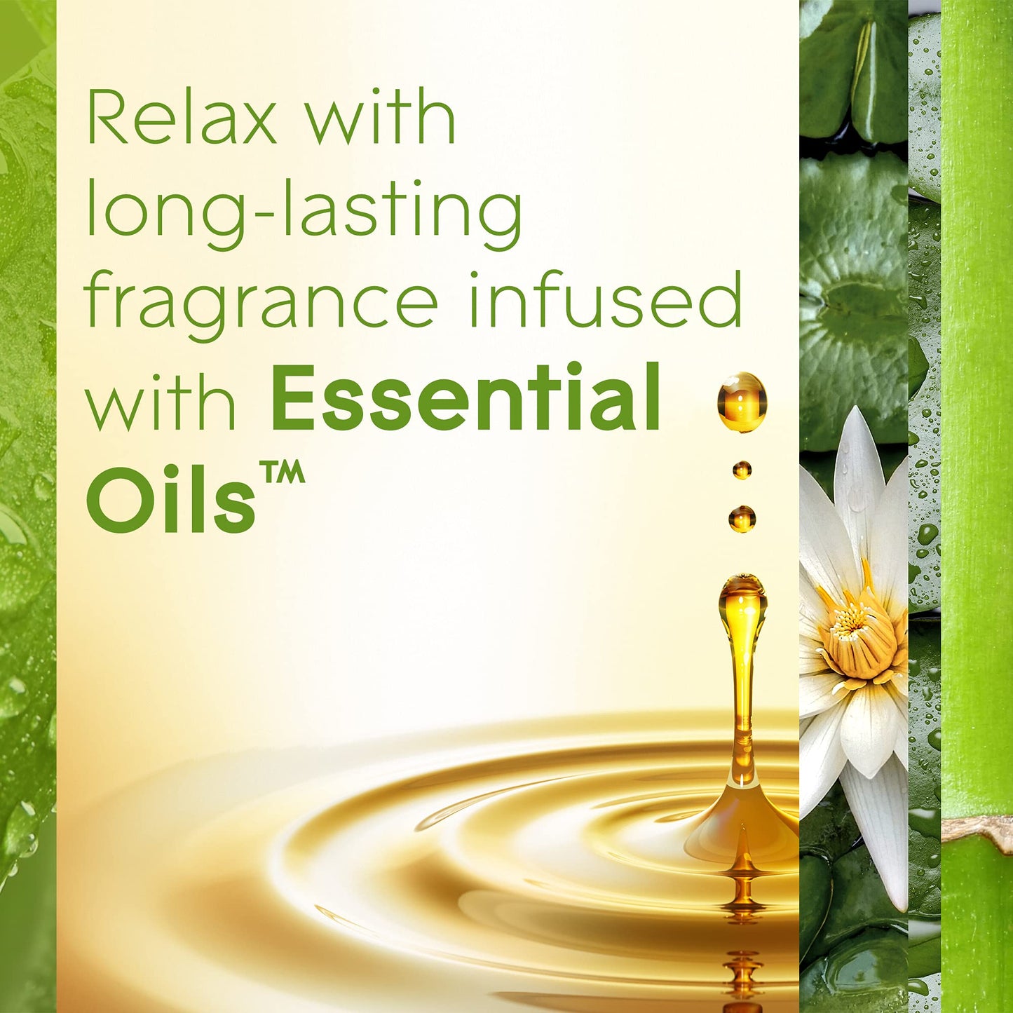 Glade PlugIns Refills Air Freshener, Scented and Essential Oils for Home and Bathroom, Bamboo & Bliss, 3.35 Fl Oz, 5 Count