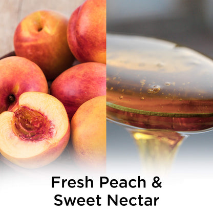 Air Wick Plug in Scented Oil Refill, 7 ct, Peach & Sweet Nectar, Air Freshener, Essential Oils