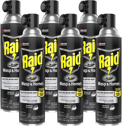 Raid Wasp & Hornet Killer Spray, 17.5 OZ (3 Pack)