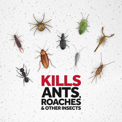 Raid Ant & Roach Killer Insecticide Spray-Outdoor Fresh - 17.5 oz, Clear