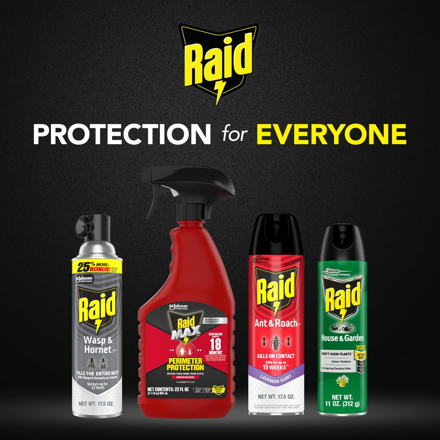 Raid Wasp and Hornet Killer (17.5 Ounce (Pack of 1))