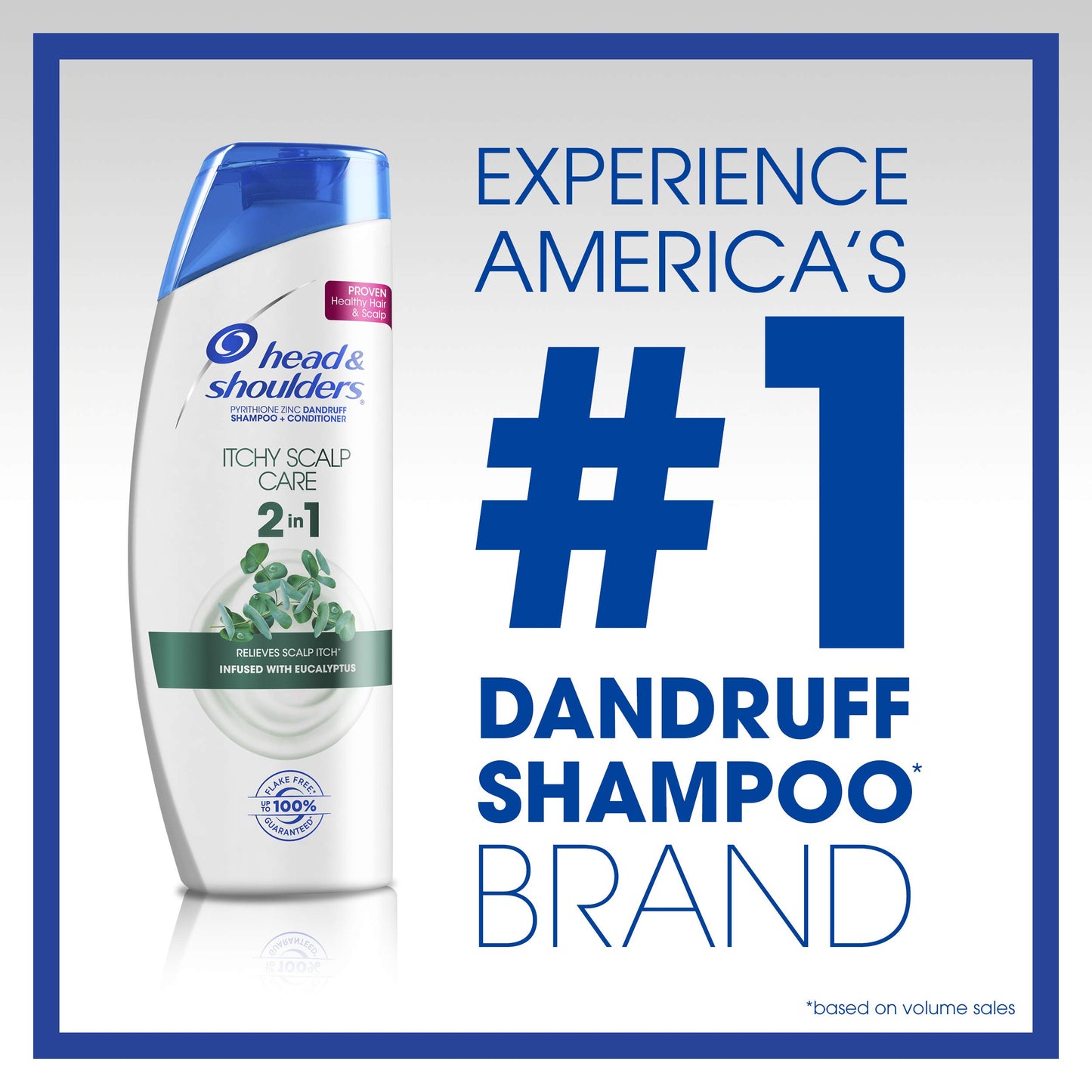 Head and Shoulders Itchy Scalp Care Anti-Dandruff 2 in 1 Shampoo and Conditioner, 23.7 fl oz