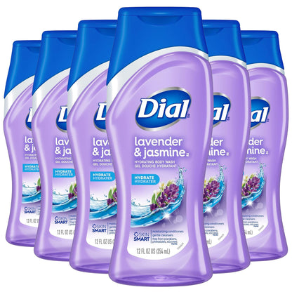 Dial Body Wash, Mountain Fresh, 16 Fl Oz (Pack of 6)