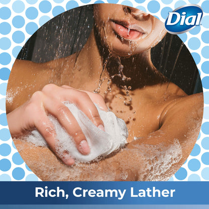 Dial Body Wash, Mountain Fresh, 16 Fl Oz (Pack of 6)