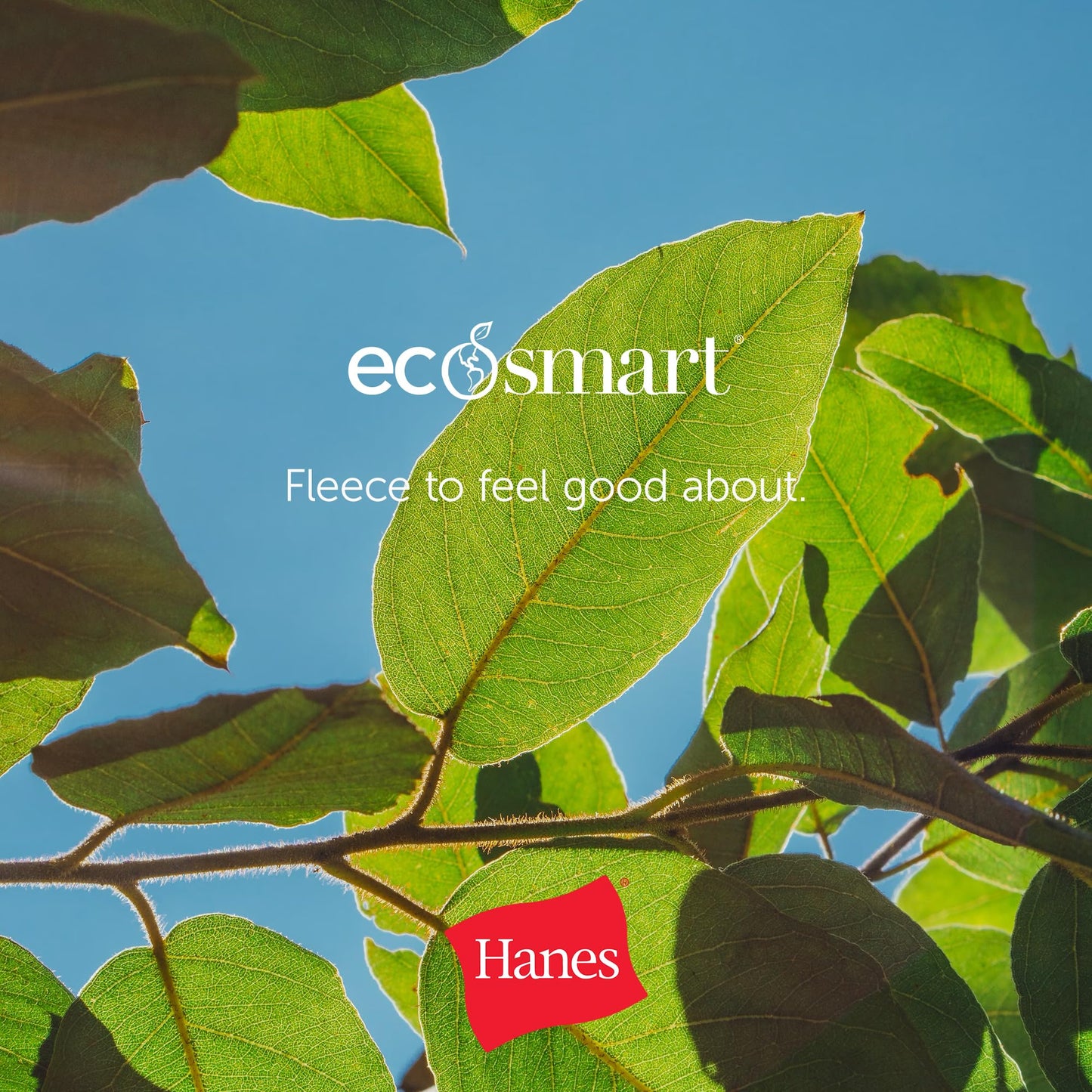 Hanes Boys' EcoSmart Short Sleeve Tee Value Pack (3-Pack), White, X-Large