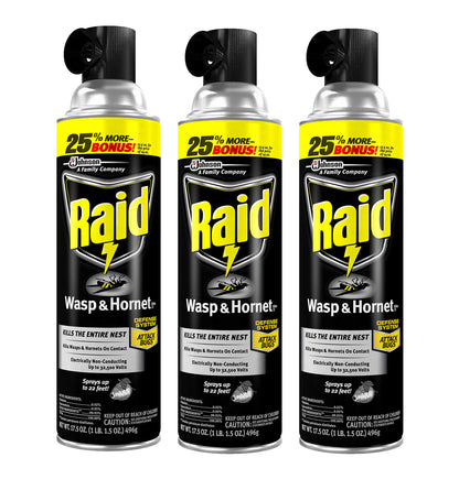 Raid Wasp and Hornet Killer, 17.5 OZ (Pack - 3)