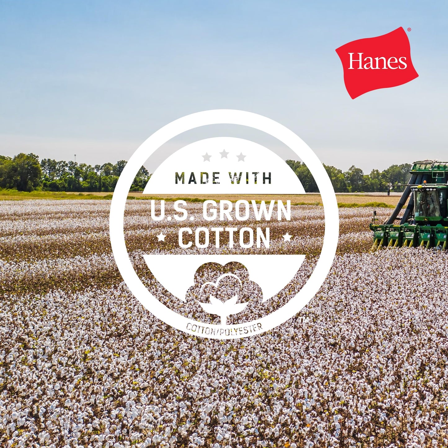 Hanes girls Jersey (Pack of 3) Shorts, Ebony, X-Small US