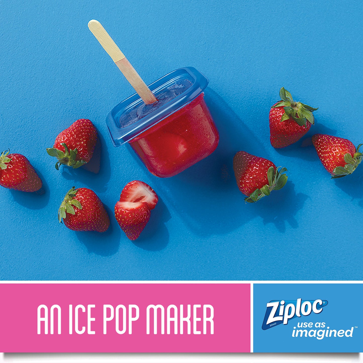 Ziploc 321874 Food Storage, 2 Count (Pack of 1)