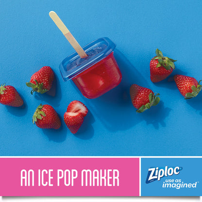 Ziploc 321874 Food Storage, 2 Count (Pack of 1)