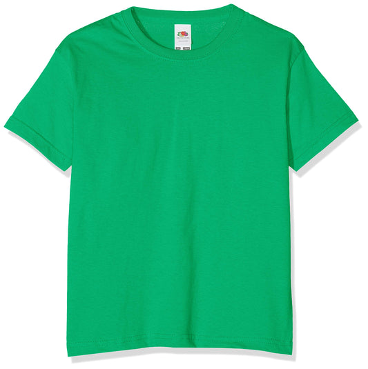 Fruit of the Loom Childrens/Kids Little Boys Valueweight Short Sleeve T-Shirt (14-15) (Kelly Green)