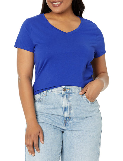Hanes womens X-temp V-neck T-shirt novelty t shirts, Navy, X-Large US